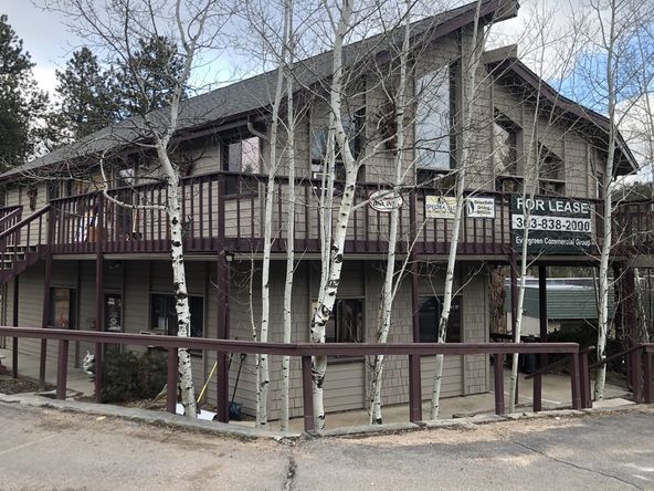 Raven's Wood: 28677 Buffalo Park Rd, Evergreen, CO 80439